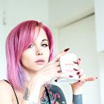 Pic of Pink haired beauty Ninaq in nude art photos by Suicide Girls | Erotic Beauties