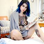 Pic of Fully tattooed babe Avrora teasing in Suicide Girls photos | Erotic Beauties