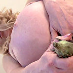 Pic of NaughtyTinkerbell.com Free video preview follow the adventures of naughty tinkerbell