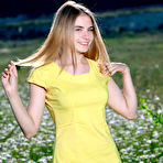 Pic of Dakota Pink Yellow Dress