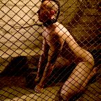 Pic of Boy in the Dog Cage - Porn For Women
