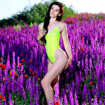 Pic of Aleksandrina nude in erotic SPRING VIBES gallery - MetArt.com