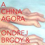 Pic of brodypaetau.com » LIVRO DE ARTE: Pintar a China Agora (MAM – Museu de Arte Moderna – Rio de Janeiro – 2013/2014)