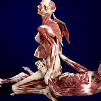 Pic of Eliza Kinchington : Danse macabre | SHOCKYOU