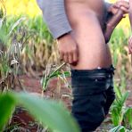 Pic of Hot anal fuck in a cornfield - Amateur Ana Chaude - AmateurPorn