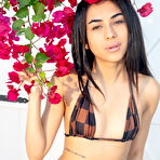 Pic of New Talent Tasha Lustn by Watch4Beauty | Erotic Beauties