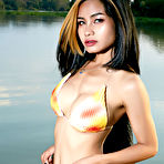 Pic of Brenda Exotic Bikini Model