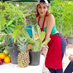 Pic of Reality Kings: Fresh Corn with Roxie Sinner on PornHD - AmateurPorn