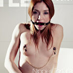 Pic of TheLifeErotic - NIPPLES TORTURE 1 with Michelle H