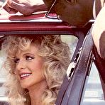 Pic of Rodox Retro Porn Free Preview