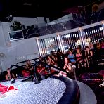 Pic of Dancing Bear, sex party, bachelorette parties gone wild, party hardcore
