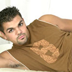 Pic of :: Bear Sexuality ::