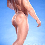 Pic of COLT Studio Group