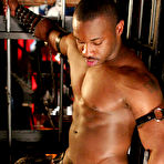 Pic of COLT Studio Group