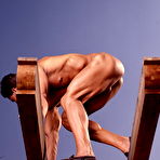 Pic of COLT Studio Group