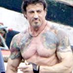 Pic of VipGalleries.net Sylvester Stallone :: FreeMaleCelebrityArchive.com