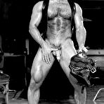 Pic of COLT Studio Group