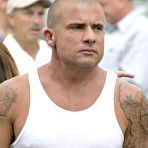 Pic of VipGalleries.net Dominic Purcell :: FreeMaleCelebrityArchive.com