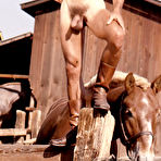 Pic of COLT Studio Group