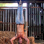 Pic of COLT Studio Group