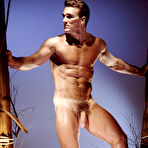 Pic of COLT Studio Group