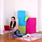 Pic of 1 Pass For All Sites