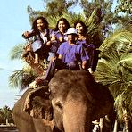 Pic of Rodox Retro Porn Free Preview