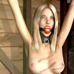 Pic of 3D porn guide