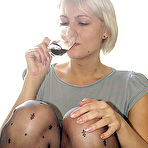 Pic of Nylon Hotties - Free Gallery