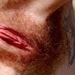 Pic of Hairy Beavers - Free Gallery