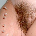 Pic of Hairy Beavers - Free Gallery