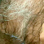 Pic of Pantheon Bear Gallery - Allen Silver and Dan Kryczak hairy daddies hardcore sex