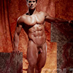 Pic of COLT Studio Group