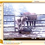 Pic of Farm Sexy