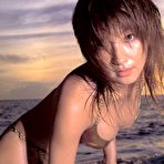 Pic of Trap @ AllGravure.com