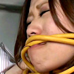 Pic of Weird Tentacle Porn