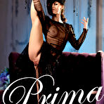 Pic of PinkFineArt | Presenting Prima from Met-Art
