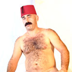 Pic of Amateur Gay Cocks