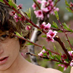 Pic of PinkFineArt | Abby in Blossoms from The Life Erotic