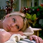 Pic of :: Sara Foster naked photos :: Free nude celebrities.