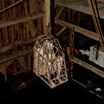 Pic of SexPreviews - Sasha Sparks is put in a cage and bdsm stretched in dungeon