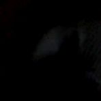 Pic of Blonde babe sucks a fat cock (POV) - Tuboff.com