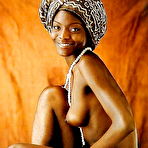Pic of Wild Africa