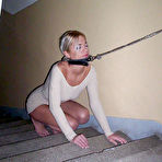 Pic of Leash and lunch time - 17 Pics | xHamster