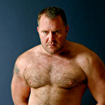 Pic of Bear - 15 Pics | xHamster