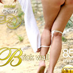 Pic of avErotica Cherry in Cherry Brick wall